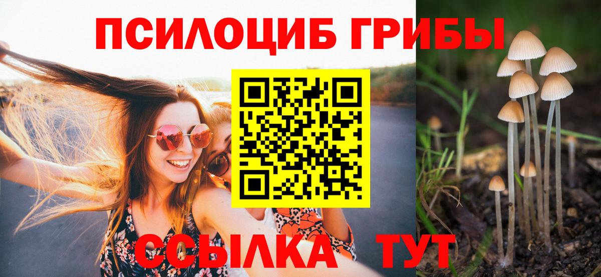 Галлюциногенные грибы Котовск