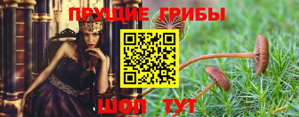 Котовск  Гашиш  Вход с VPN  МДМА  Alpha-PVP СК   Где купить наркотики?  МЕФ кристаллы  Конопля  ТГК 
